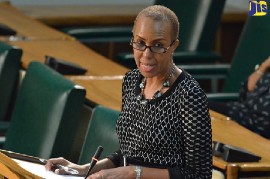Education, Youth and Information Minister,  Fayval Williams (JIS Photo)