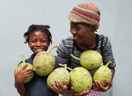 A mother and her daughter hold breadfruits from a nursery and agricultural program established by a Food For The Poor donor. The charity is commemorating the 11th anniversary of the Haiti earthquake. Since the Jan. 12, 2010, tragedy, FFTP has built 11,462 concrete block homes with sanitation and water components; built, replaced or expanded 71 schools; drilled 1,089 water wells; and installed 169 water filtration units. Each unit purifies and chlorinates up to 10,000 gallons of water daily, providing almost 1.7 million gallons of water a day. FFTP has shipped 12,941 tractor-trailer loads of essential aid. 