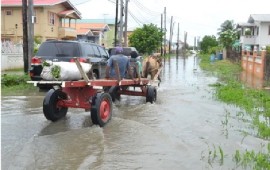 Flooding in the city (DPI Photo)