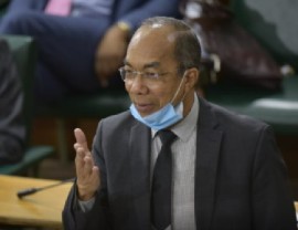 National Security Minister Dr. Horace Chang