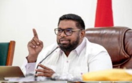 President Ali addressing US investors (Photo DPI)