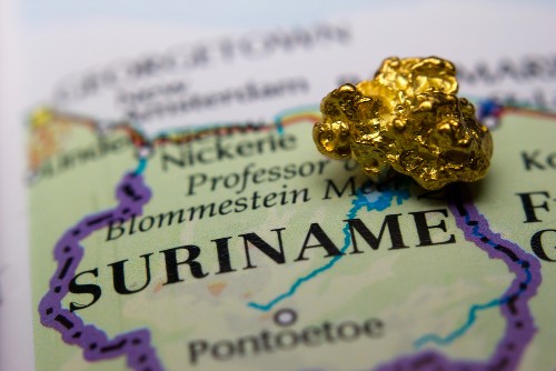 surngot