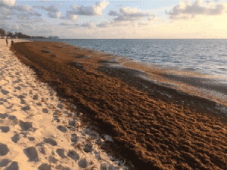 sands