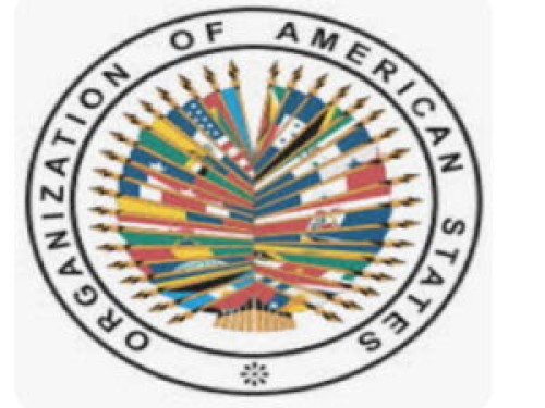 amerorganiz
