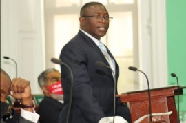 Health Minister Renward Wells speaking in Parliament