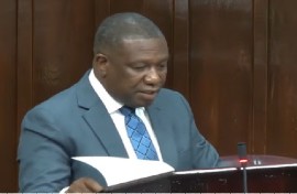St. Lucia’s Foreign Affairs Minister Alva Baptiste informing Parliament of MoU with United States on the deportation of third country nationals