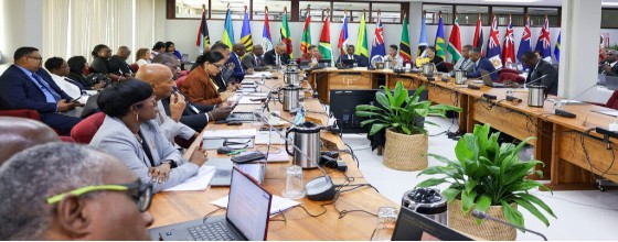 Ministers at the Sixty-second Regular Meeting of the Council for Trade and Economic Development in Georgetown, Guyana, 11-12 June 2026, where four teams were established to assess regional supply of paints, cement, glass bottles and bitumen. (CARICOM Secretariat file photo)