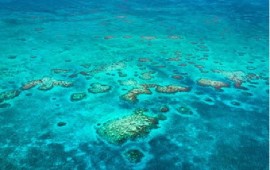 Ambergris Caye, Belize. The country’s barrier reef face multiple threats to its survival. (Credit: Mlenny/iStock by Getty Images)