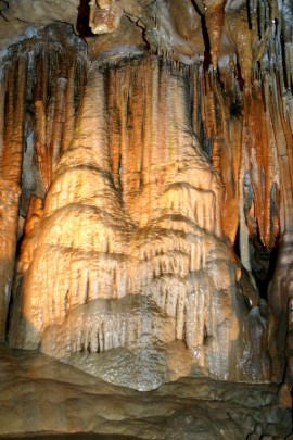 Florida Caverns State Park is home to an amazing 65-degree cave system accessible by walking tour. ﻿Photo credit: Explore Northwest Florida