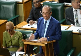 Deputy Prime Minister and Minister of National Security and Peace Horace Chang.
