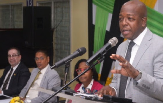 Labour and Social Security Minister, Pearnel Charles Jr. addressing the ceremony (JIS Photo)