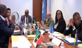 OECS Foreign Ministers meeting in New York