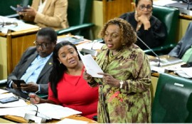 Culture, Gender, Entertainment and Sport Minister, Olivia Grange, tabling the document in Parliament on Tuesday.