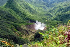 Photo via the Discover Dominica Authority (DDA).