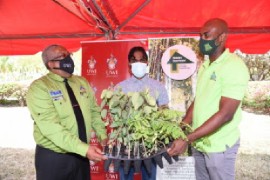 Pro Vice-Chancellor Professor Dale Webber, Guild Representative Alwain Bisasor; and Conservator of Forests, Ainsley A Henry at the Tree Planting Ceremony (UWI Photo)
