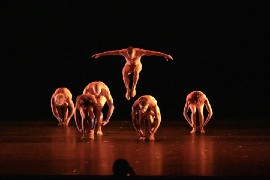 Pilobolus dancers wow the audience by testing the limits of human physicality –intertwining their bodies and using striking weight-sharing techniques.