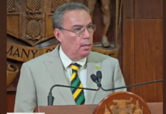 Science, Energy, Telecommunications and Transport Minister, Daryl Vaz, speaking at news conference on Tuesday (CMC Photo)
