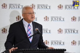 Justice Minister Delroy Chuck. (JIS Photo)