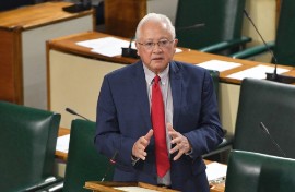 Minister of Justice and Constitutional Affairs, Delroy Chuck.