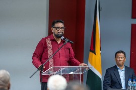 President Irfaan Ali addresses members of the Guyanese diaspora in Saint Lucia. (Photo: DPI)