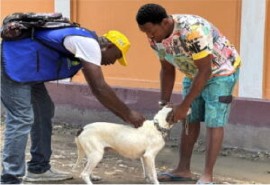 A dog is vaccinated against rabies in Haiti (Photo courtesy PAHO/WHO)