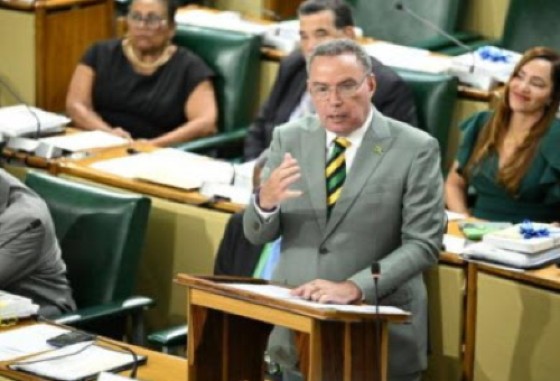 Energy Minister, Daryl Vaz, making his contribution to the Sectoral Debate in the House of Representatives (JiIS Photo)