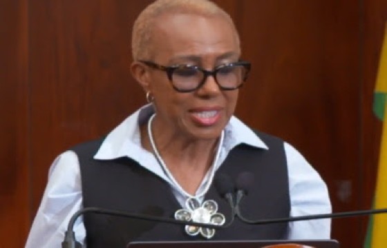 Finance and the Public Service Minister, Fayval Williams, speaking at the news conference on Wednesday (CMC Photo)
