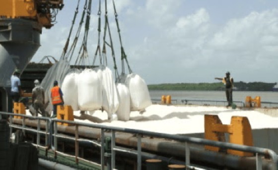 Guyana rice exports increased in 2023 (File Photo)