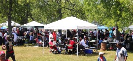 A section of the large gathering of Trelwynites at the annual Trelawny Reunion Picnic on Sunday, May 29, at the Rockland Lake State Park, Rockland County, New York (Photo by Derrick Scott)