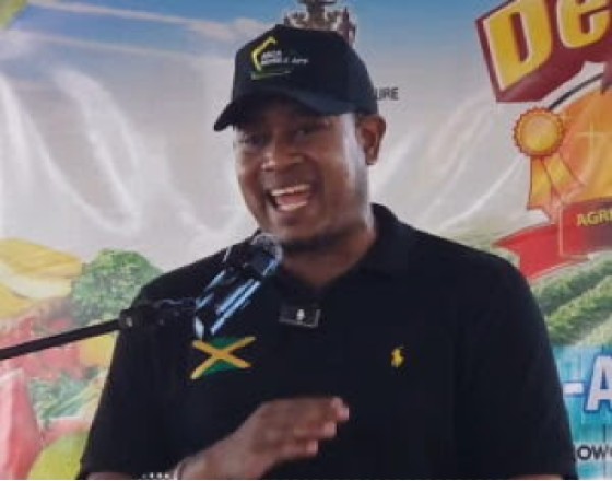 Agriculture, Fisheries and Mining Minister, Floyd Green, announcing a 10 year-agricultural development plan