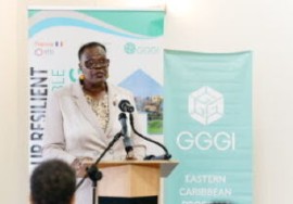 Social and Community Development, Housing and Gender Affairs Minister, Gloria Thomas.