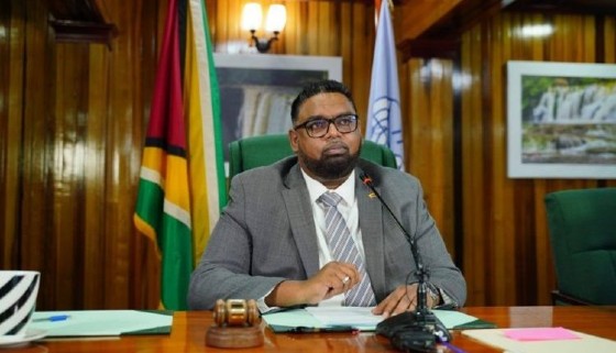 President Irfaan Ali (File Photo)