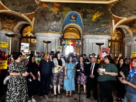 Immigration advocates rally against ICE.