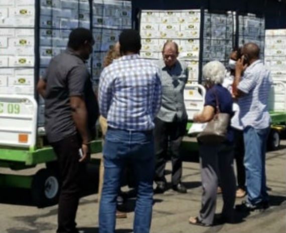 The Minister of Industry, Commerce, Agriculture and Fisheries, Audley Shaw (Centre) Inspects the shipment of mangoes destine for the US along with member of his ministry at the Norman Manley International Airport on Monday, June 08, 2020
