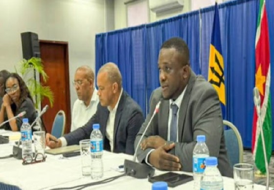 Senior Minister and Minister of Energy, Business Development and Commerce, Kerrie Symmonds in talks with visiting delegation from N.V. Grassalco.