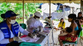 An increase in access to antimalarial medicines and improvements in the clinical management of severe cases have led to a reduction in malaria-related deaths since 2020. (Image courtesy of PAHO)