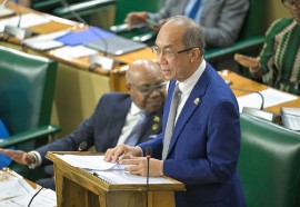 Deputy Prime Minister and Minister of National Security and Peace Dr Horace Chang made the announcement in the House of Representatives. (Photo credit: JIS)