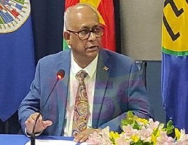 Foreign Affairs, International Business and International Cooperation Minister, Albert Ramdin, speaking during the news conference.