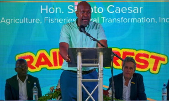 Minister of Fisheries, Saboto Caesar, addressing the opening of the Jamaica-owned Rainforest Seafoods’ processing plant (CMC Photo)