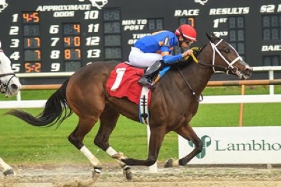 Mystic Lake wins the U.S. $125 000 Gasparilla Stakes for ace Barbadian trainer Saffie Joseph Jr on Saturday at the Tampa Bay Downs racetrack in the United States. (Tampa Bay Downs photo)