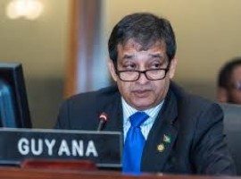 Ambassador Riyad Insanally