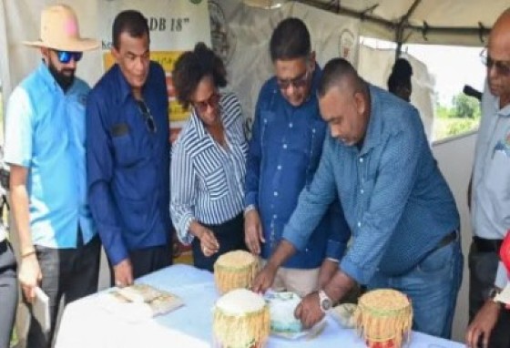 Minister of Agriculture, Zulfikar Mustapha, Director General of the ministry, Madanlall Ramraj, and Chief Scientist at GRDB, Mahendra Persaud inspecting the rice that was harvested